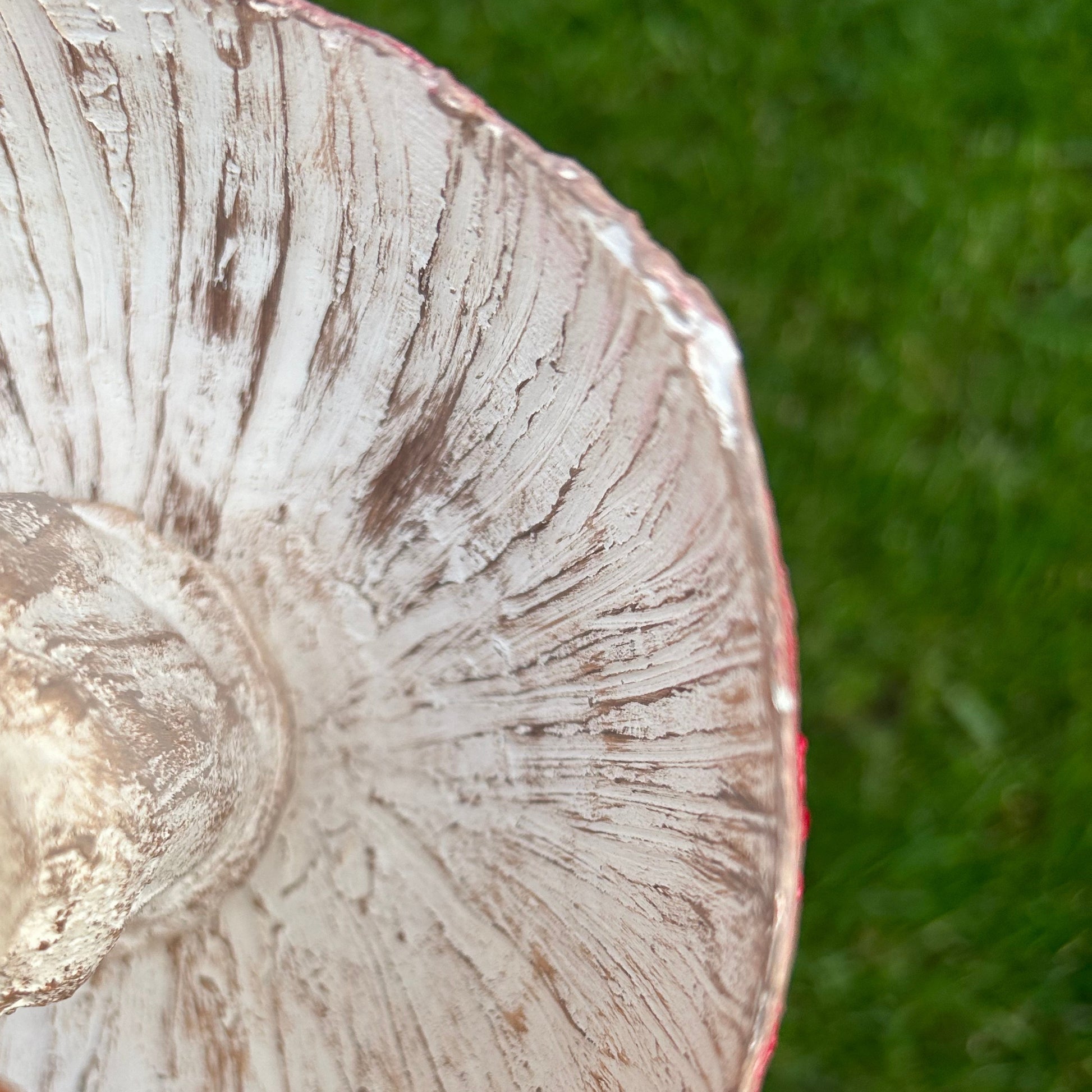 Underside of handmade mushroom sculpture showing embossed paper mache texture


